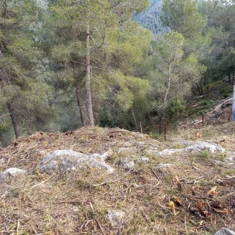 Terreno en Urbanització Martivell Polígon 2, 1081