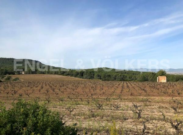 Terreno en Avinyonet del Penedès