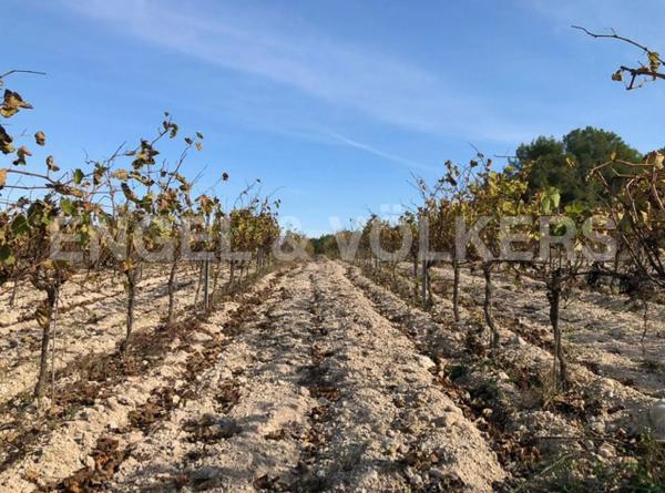 Terreno en Avinyonet del Penedès