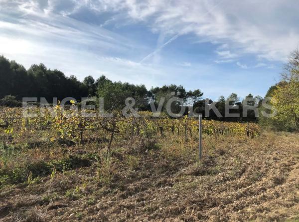Terreno en Avinyonet del Penedès