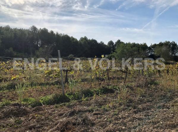 Terreno en Avinyonet del Penedès