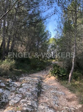Terreno en Avinyonet del Penedès