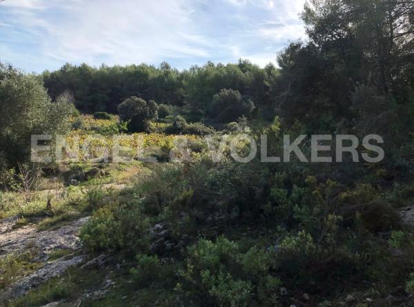 Terreno en Avinyonet del Penedès