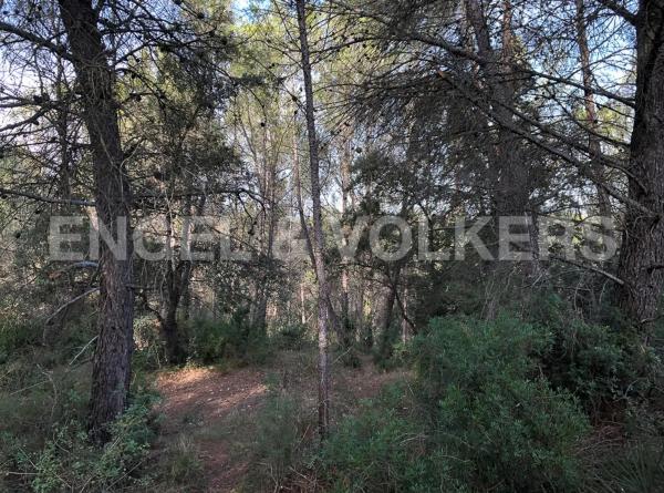 Terreno en Avinyonet del Penedès