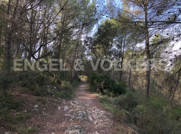 Terreno en Avinyonet del Penedès