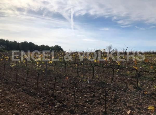 Terreno en Avinyonet del Penedès