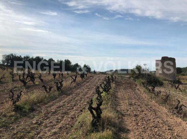 Terreno en Avinyonet del Penedès