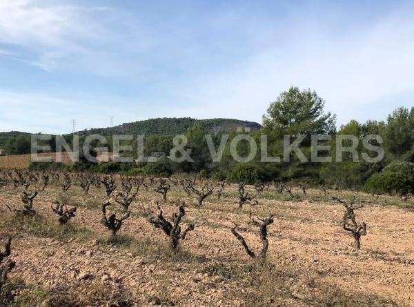 Terreno en Avinyonet del Penedès