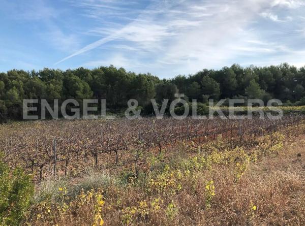 Terreno en Avinyonet del Penedès