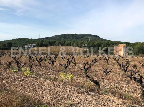Terreno en Avinyonet del Penedès