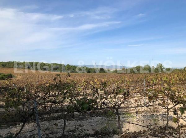 Terreno en Avinyonet del Penedès