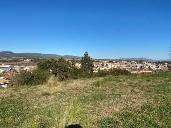 Terreno en camino de la creu