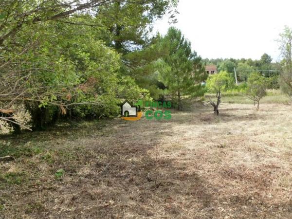 Terreno en calle Major