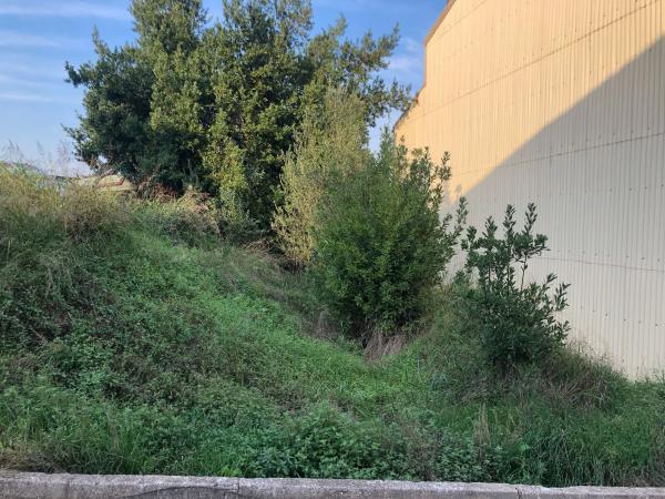 Terreno en calle de les Flors, 51