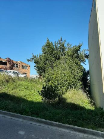 Terreno en calle de les Flors, 51