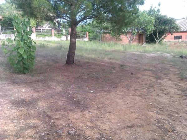 Terreno en calle desmai (Can Coral) s/n sn