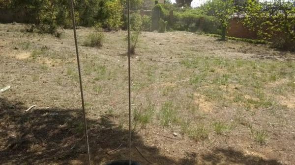 Terreno en calle desmai (Can Coral) s/n sn