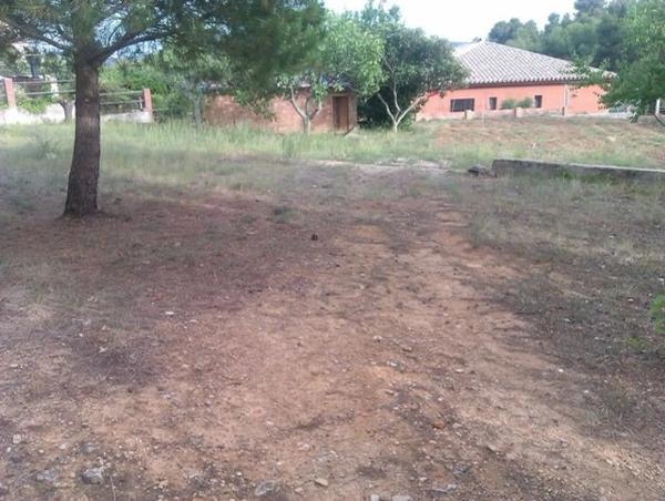 Terreno en calle desmai (Can Coral) s/n sn