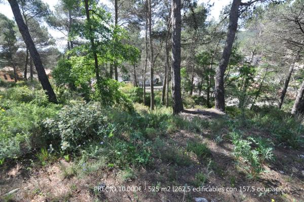 Terreno en La Font del Bosc s/n