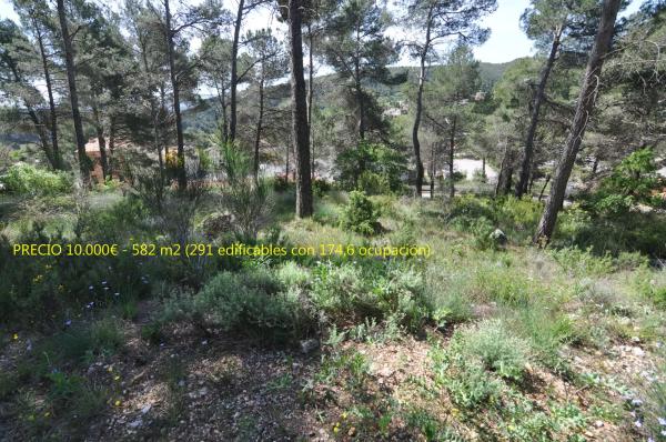 Terreno en La Font del Bosc s/n