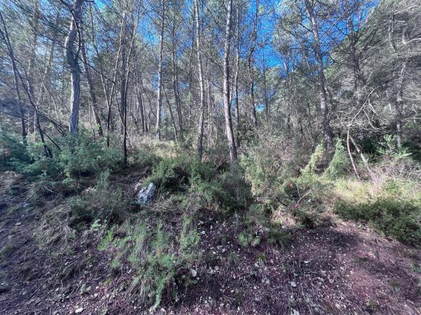 Terreno en carretera Bv-2136 s/n