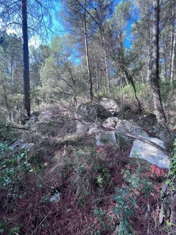 Terreno en carretera Bv-2136 s/n