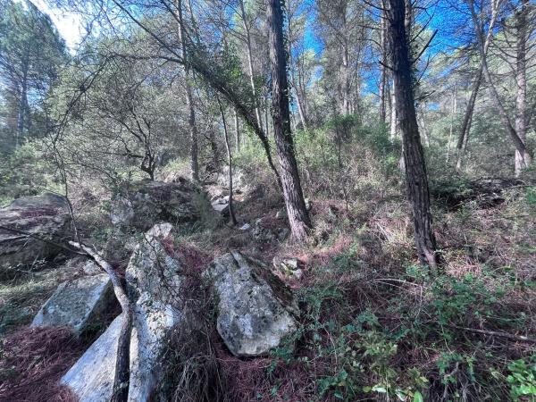 Terreno en carretera Bv-2136 s/n
