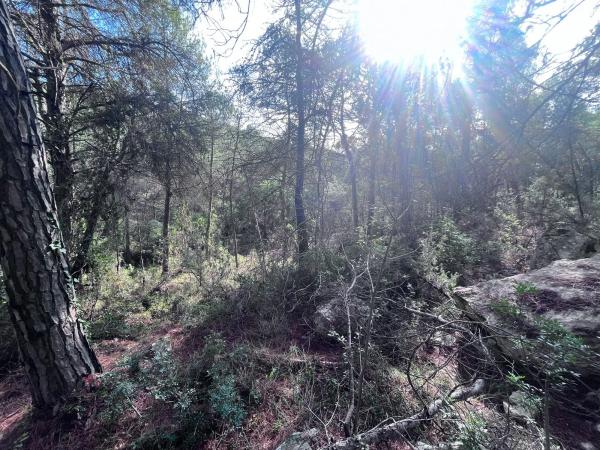 Terreno en carretera Bv-2136 s/n