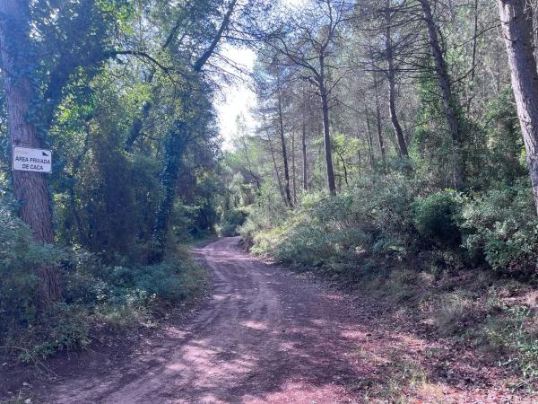 Terreno en carretera Bv-2136 s/n