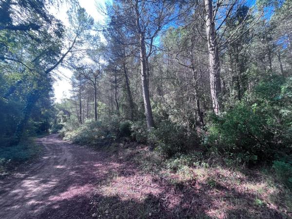 Terreno en carretera Bv-2136 s/n
