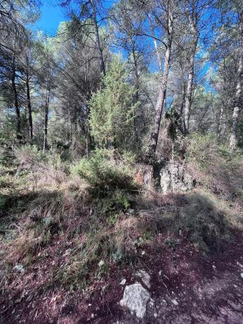Terreno en carretera Bv-2136 s/n