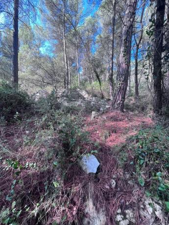 Terreno en carretera Bv-2136 s/n