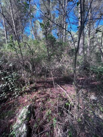 Terreno en carretera Bv-2136 s/n