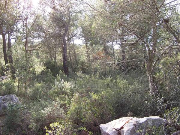 Terreno en Major s/n