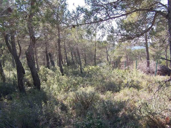 Terreno en Major s/n