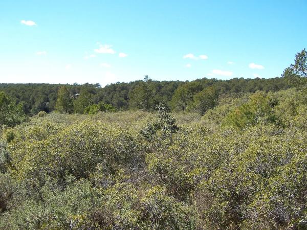 Terreno en Major s/n