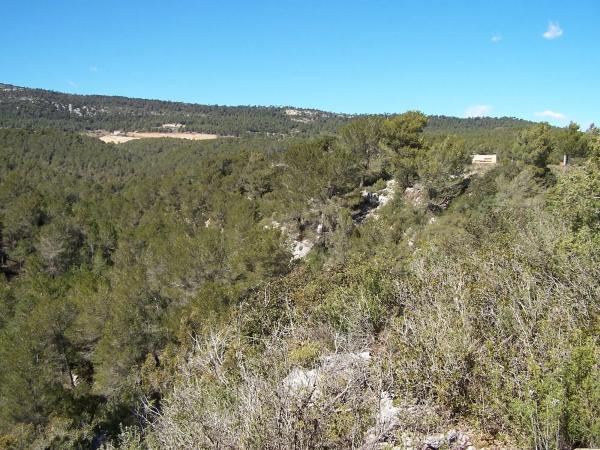 Terreno en Major s/n