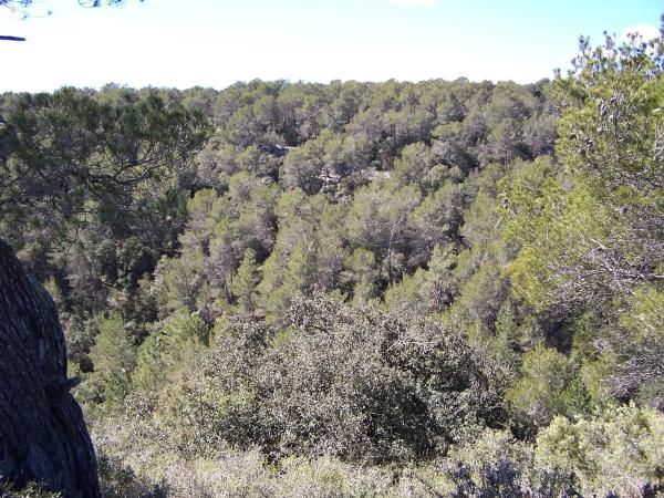 Terreno en Major s/n