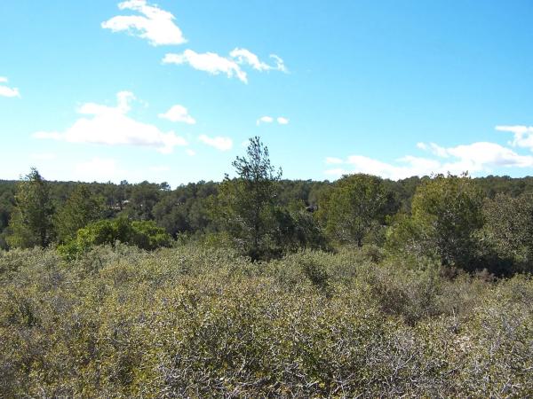 Terreno en Major s/n