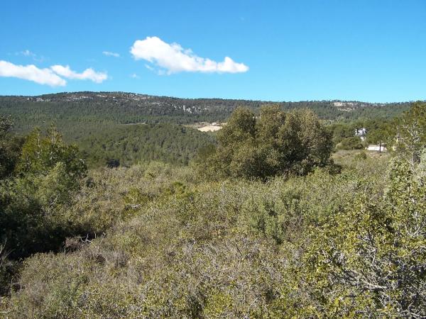 Terreno en Major s/n