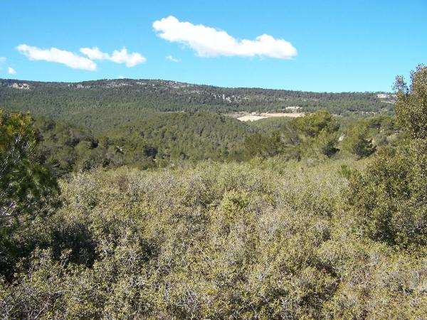 Terreno en Major s/n