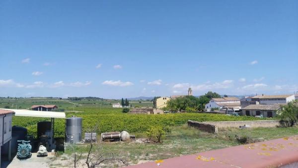 Terreno en avenida U, 60