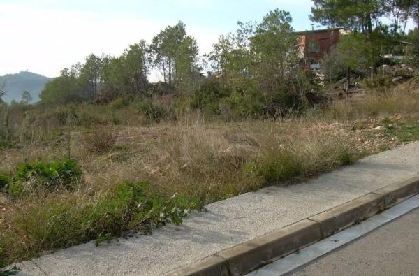 Terreno en Avinyonet del Penedès
