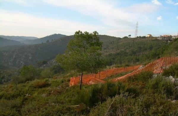 Terreno en Avinyonet del Penedès