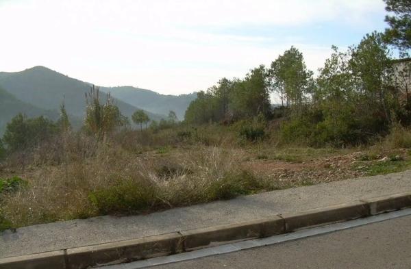 Terreno en Avinyonet del Penedès