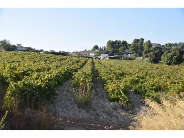 Terreno en calle Septentrional