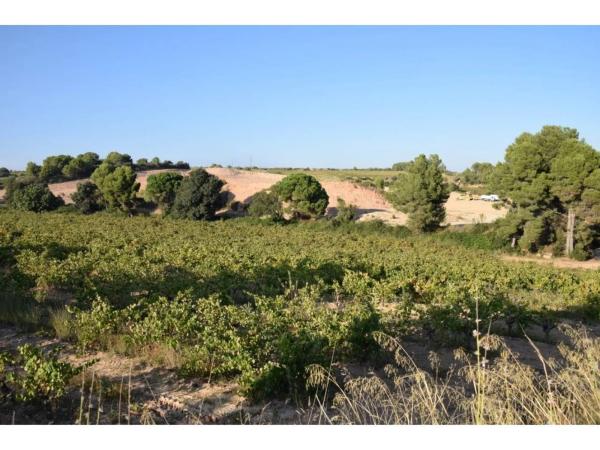 Terreno en calle Septentrional