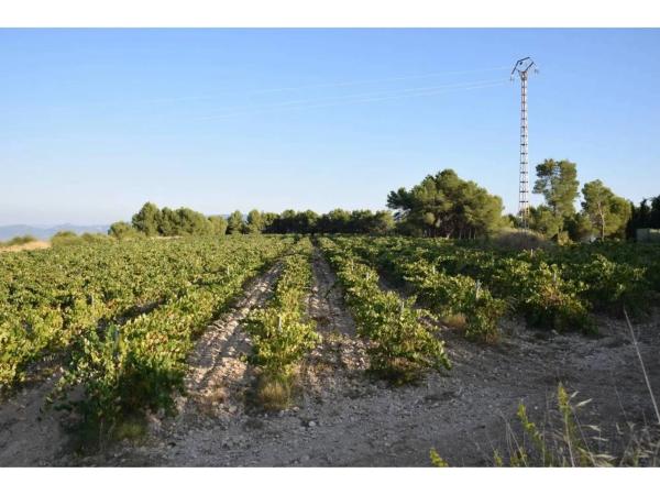 Terreno en calle Septentrional