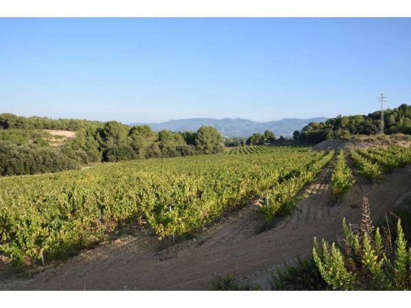 Terreno en calle Septentrional