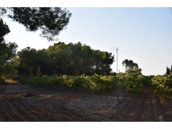 Terreno en calle Septentrional